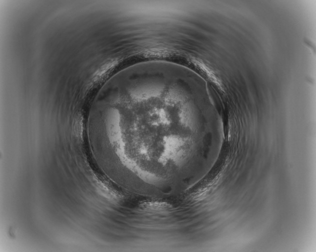 X0000096940637200802081207