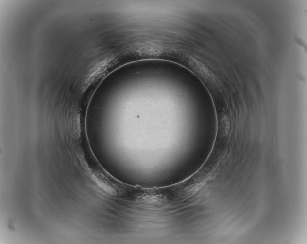 X0000096940638200802081207