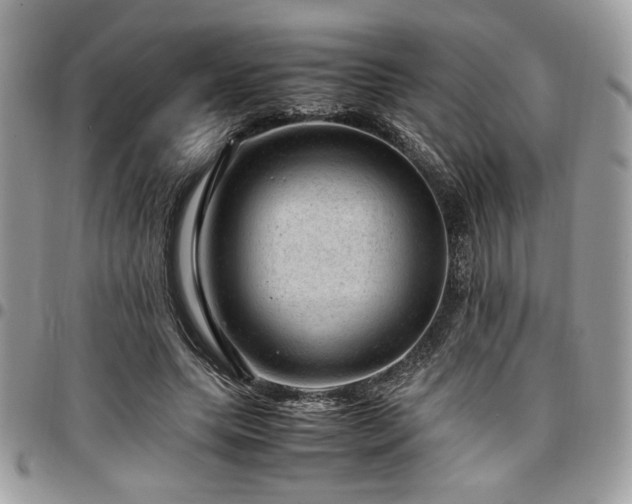 X0000096940639200802081207