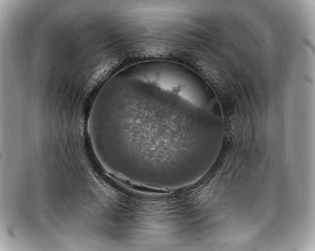 X0000096940640200802081207
