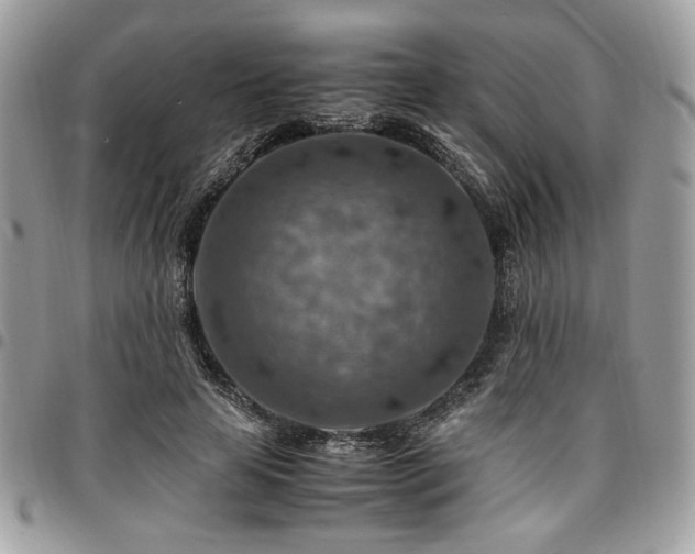 X0000096940641200802081207