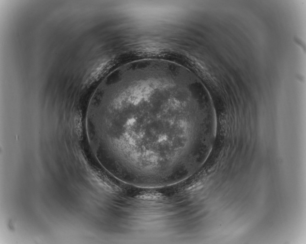 X0000096940642200802081207
