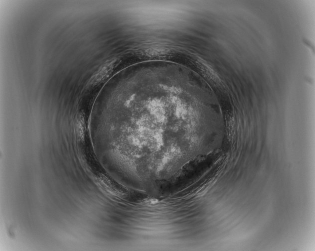 X0000096940644200802081207