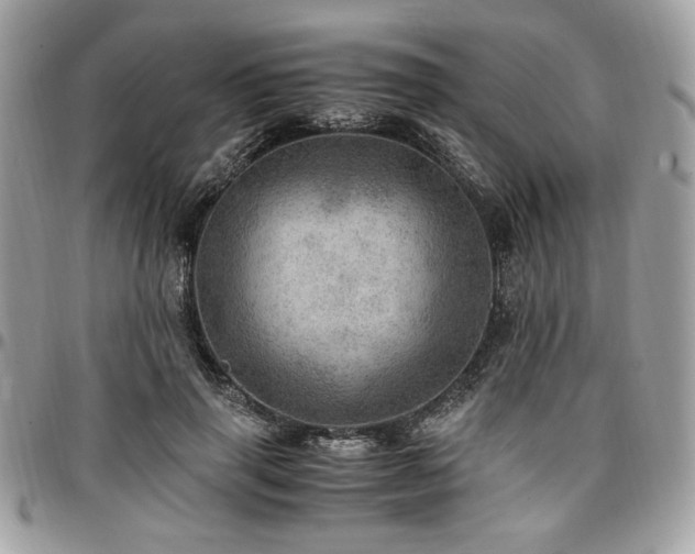 X0000096940645200802081207