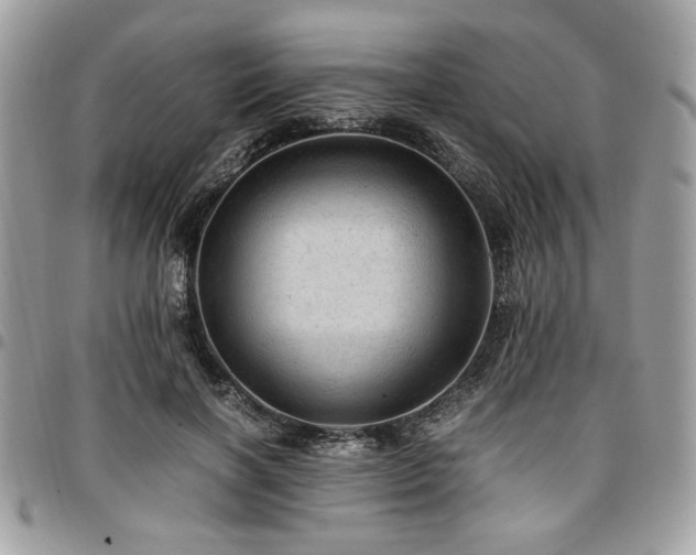 X0000096940646200802081207