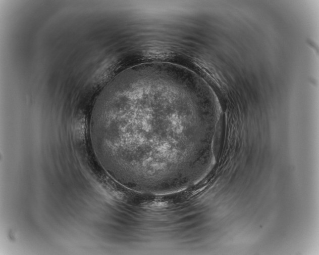 X0000096940647200802081207