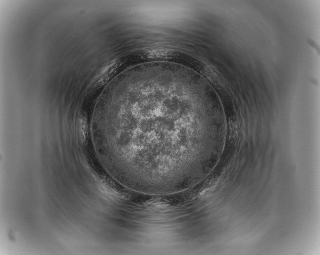 X0000096940648200802081207