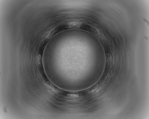 X0000096940649200802081207