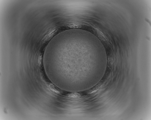 X0000096940652200802081207