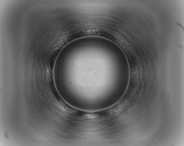 X0000096940654200802081207
