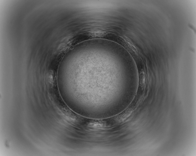 X0000096940655200802081207
