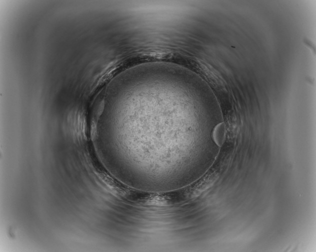 X0000096940656200802081207