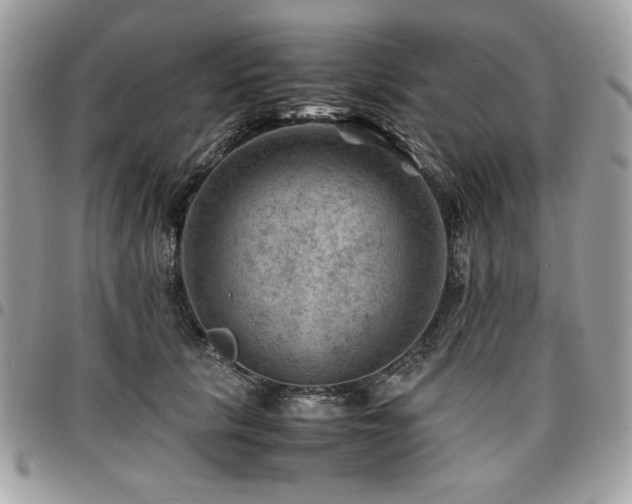 X0000096940657200802081207