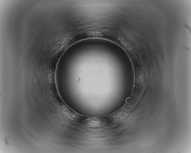X0000096940658200802081207