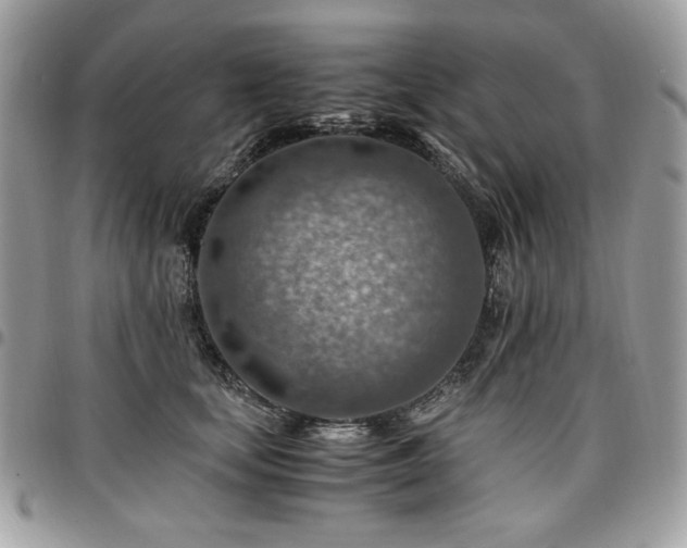 X0000096940659200802081207