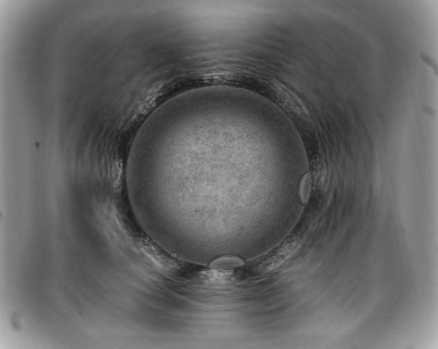 X0000096940660200802081207