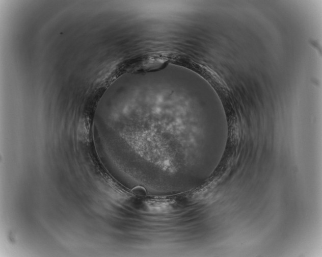 X0000096940661200802081207