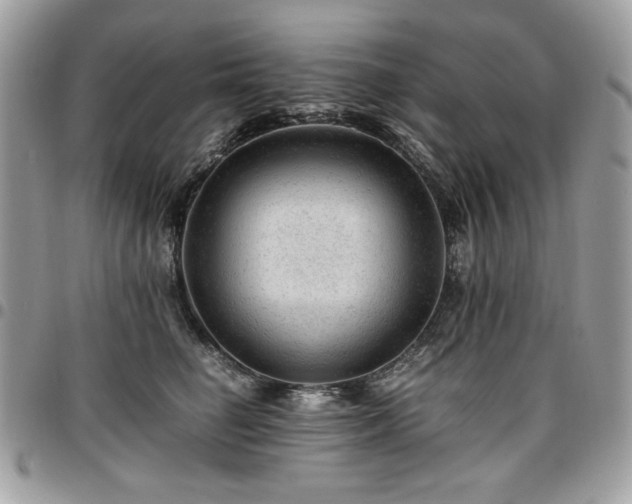 X0000096940662200802081207