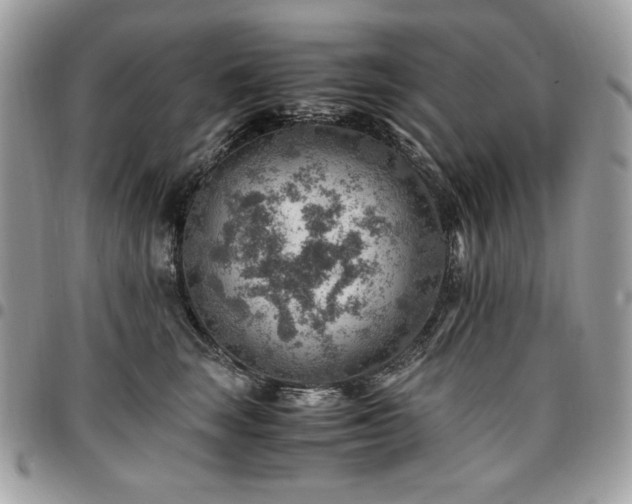 X0000096940663200802081207
