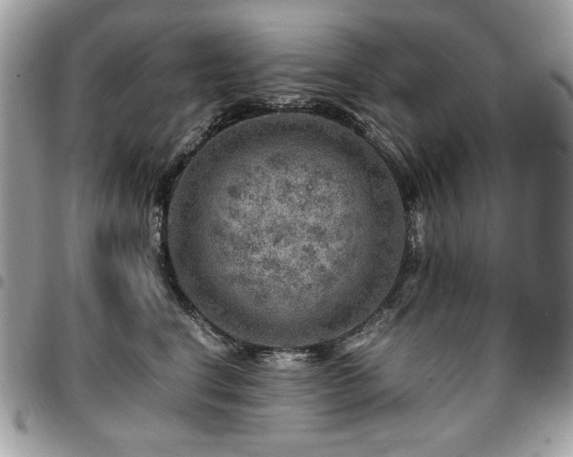 X0000096940664200802081207