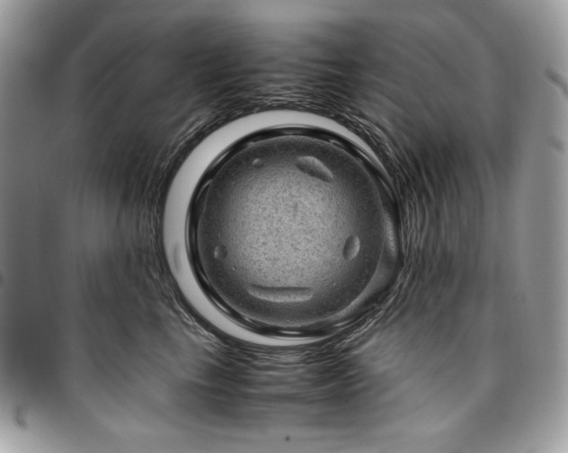 X0000096940665200802081207