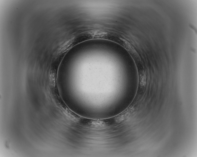 X0000096940666200802081207