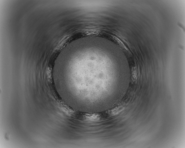 X0000096940667200802081207