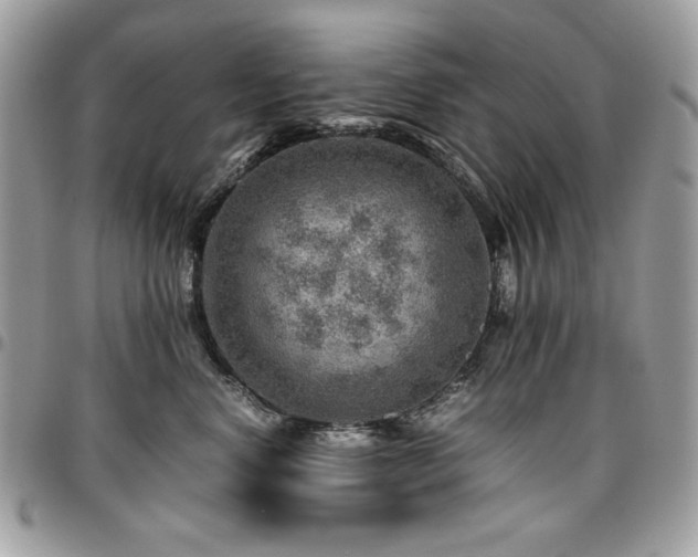 X0000096940668200802081207
