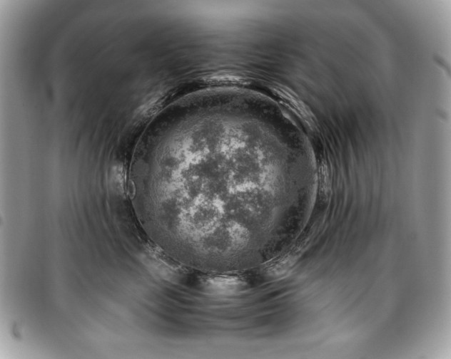 X0000096940669200802081207