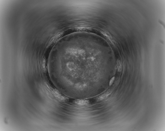 X0000096940670200802081207