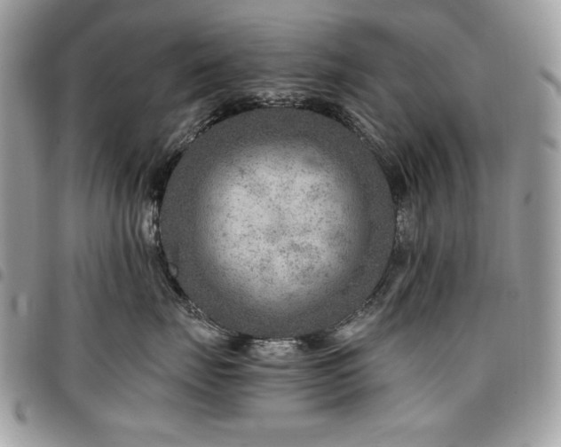 X0000096940671200802081207