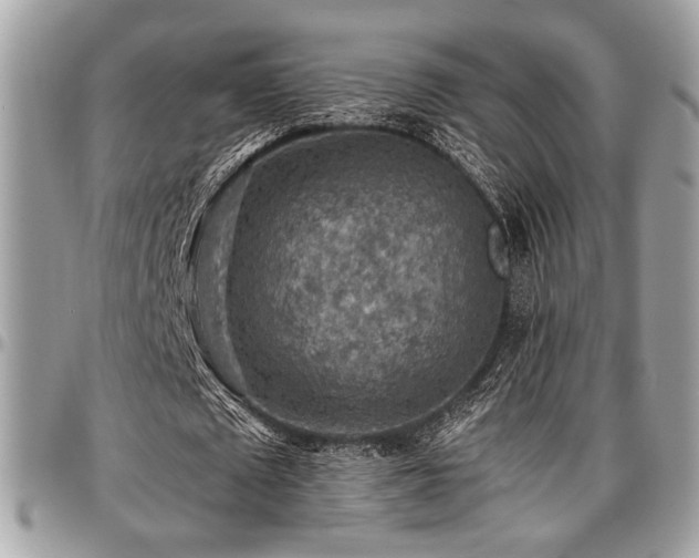 X0000096940673200802081207