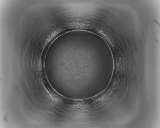 X0000096940674200802081206