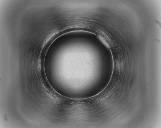 X0000096940676200802081206