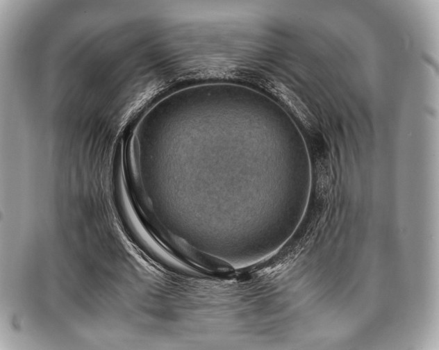 X0000096940677200802081206