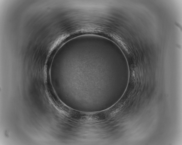 X0000096940678200802081206