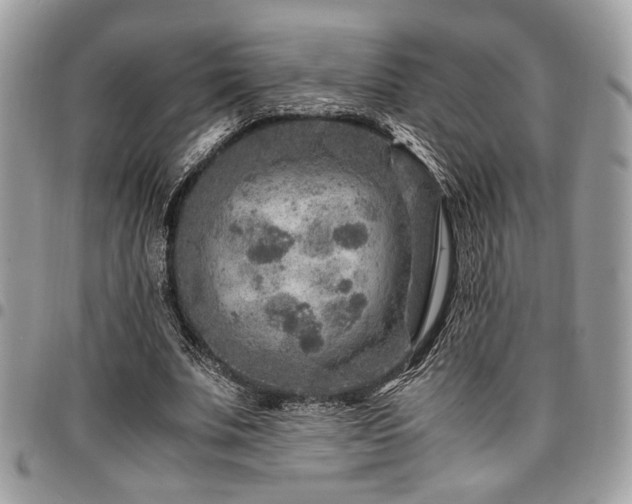 X0000096940679200802081206