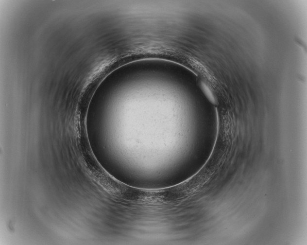 X0000096940680200802081206