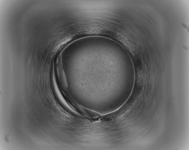 X0000096940681200802081206
