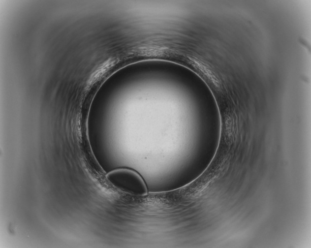 X0000096940682200802081206