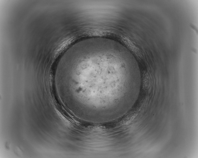 X0000096940683200802081206