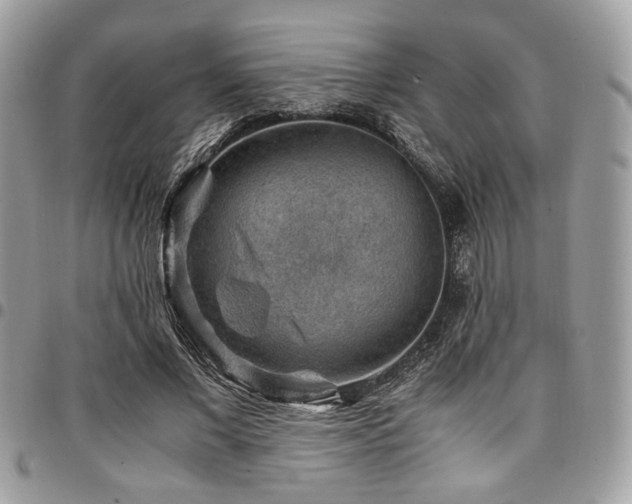 X0000096940685200802081206