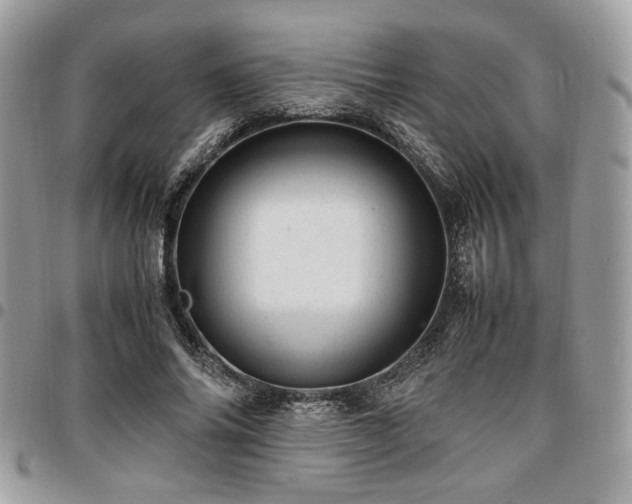X0000096940686200802081206