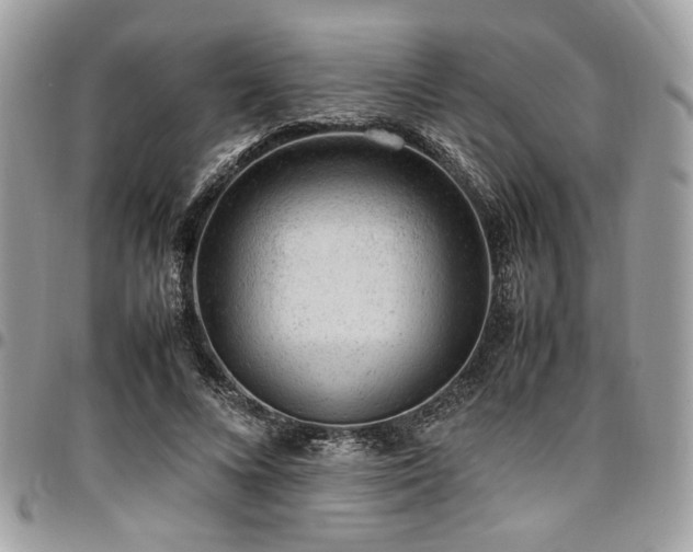 X0000096940688200802081206