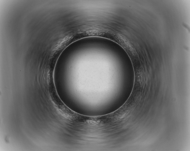 X0000096940690200802081206