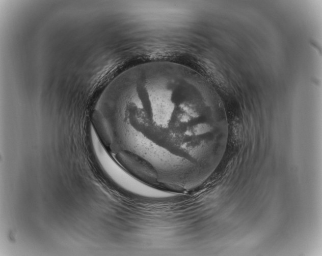 X0000096940691200802081206