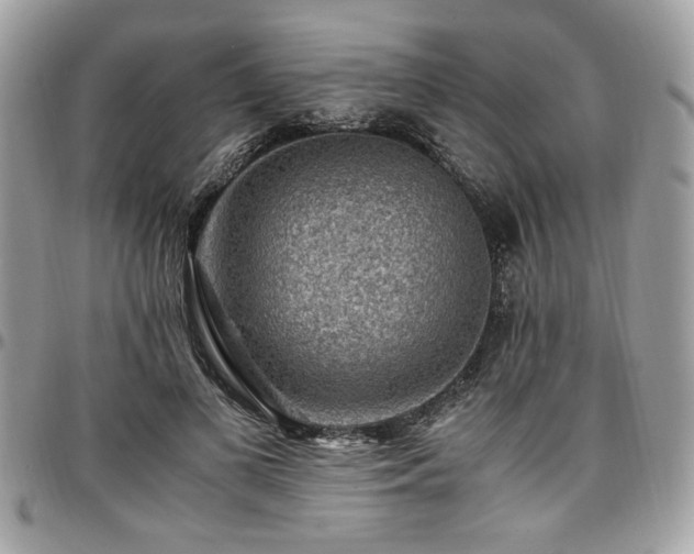 X0000096940693200802081206