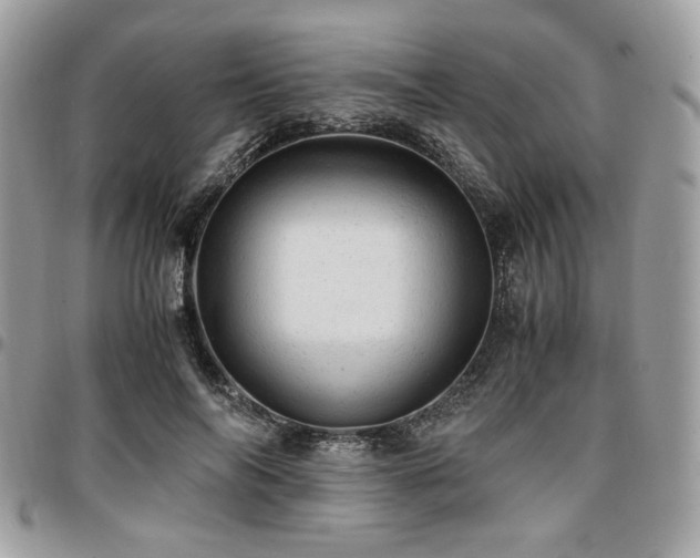 X0000096940694200802081206