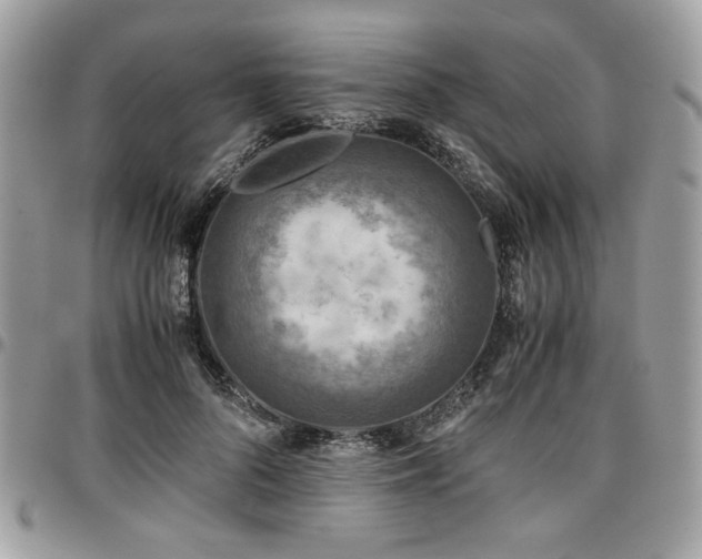 X0000096940696200802081206