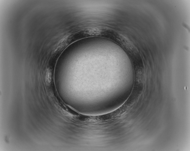 X0000096940697200802081206